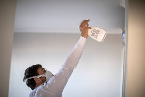 Best White Mold Remediation in Cheney, WA
