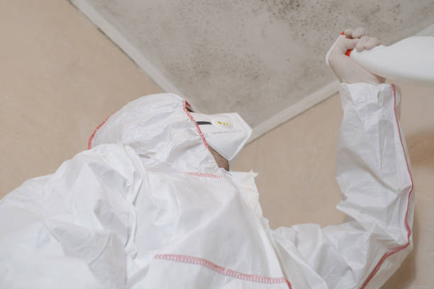 Best Industrial Mold Remediation in Cheney, WA