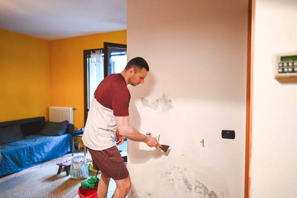 Professional Mold Remediation in Cheney, WA